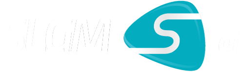 slgm-ai-hr-ai slgm ai
